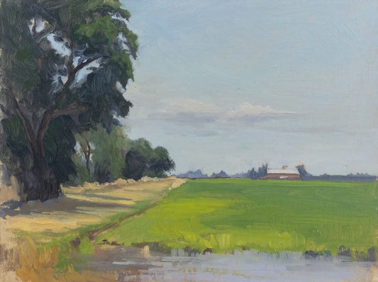 Flooded Rice Field - 9x12"