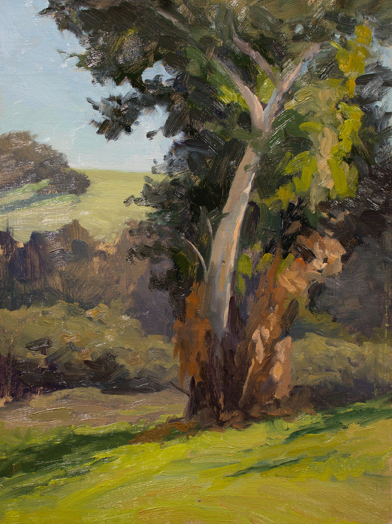 Arastradero Eucalyptus - 12x9"