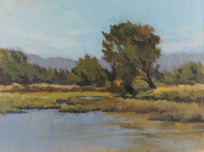Baylands - 9x12"