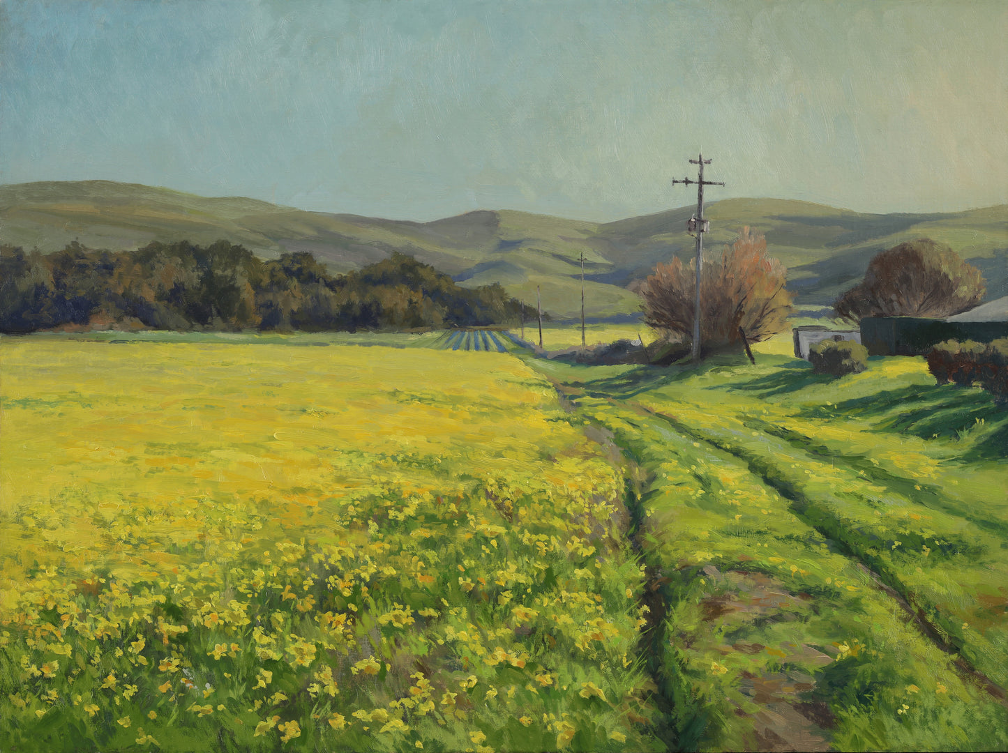Mustard Fields - 18x24"