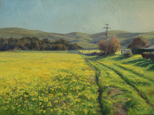 Mustard Fields - 18x24"