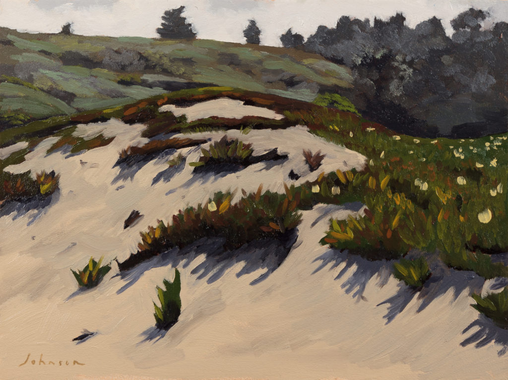 <strong>Bean Hollow Ice Plant - 9x12"</strong><br>Oil on Panel - <strong><font color="red">SOLD</font></strong>
