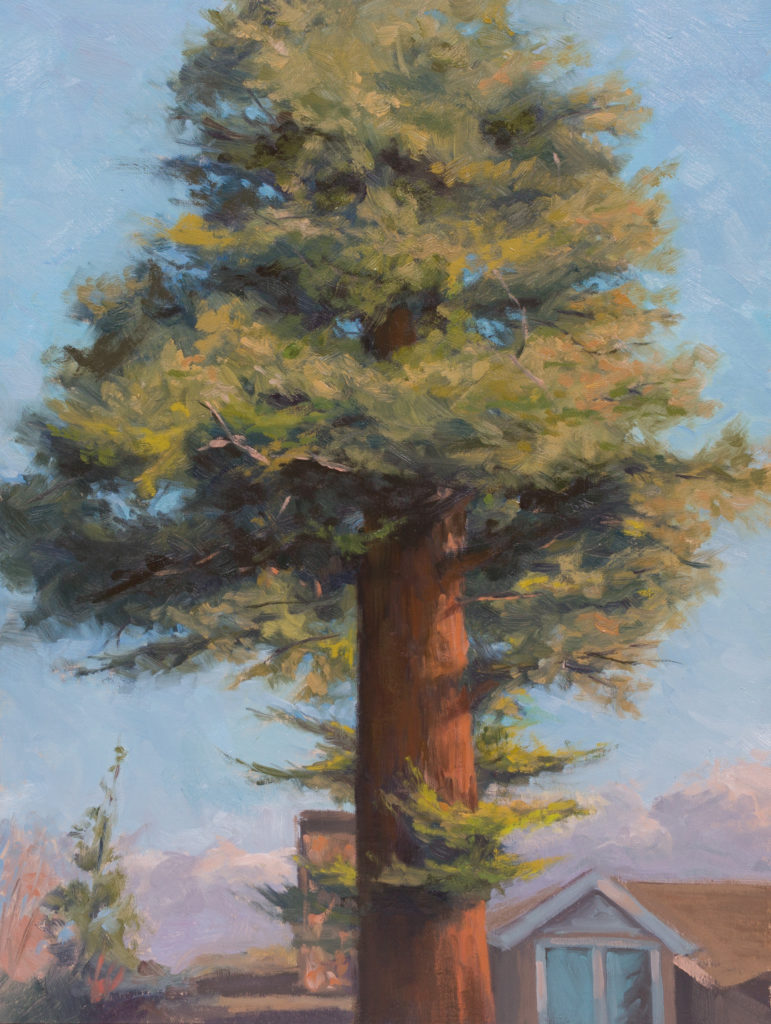 <strong>Elwood Redwood One - 11x14&quot;</strong><br>Oil on Panel - <strong><font color="red">SOLD</font></strong>