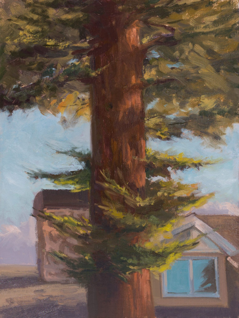 <strong>Elwood Redwood Two - 9x12&quot;</strong><br>Oil on Panel - <strong><font color="red">SOLD</font></strong>