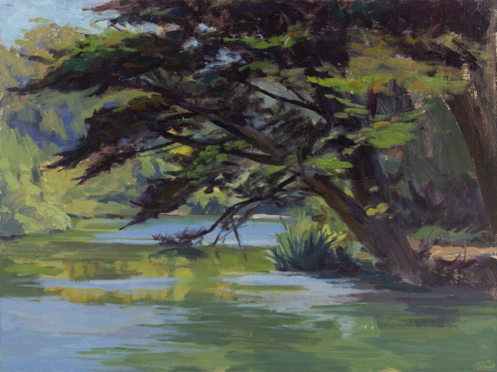 <strong>Cypress Majesty - 9x12&quot;</strong><br>
Oil on Panel - <strong>Available - $700- Framed</strong>