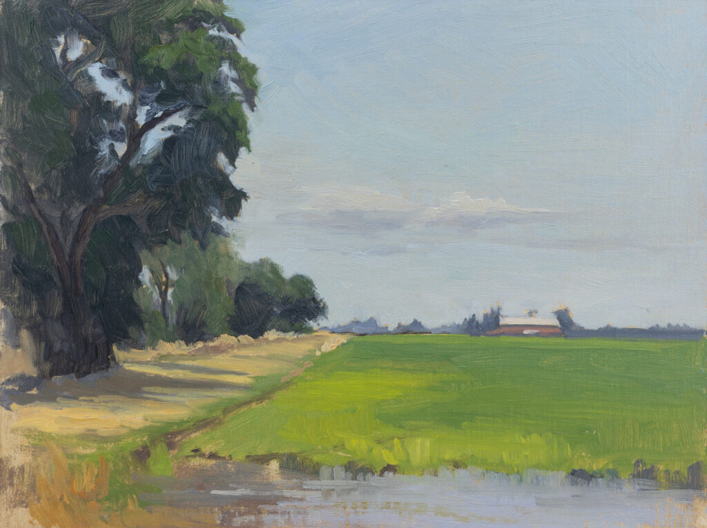 <strong>Flooded Rice Field 2 - 9x12&quot;</strong><br>
Oil on Panel