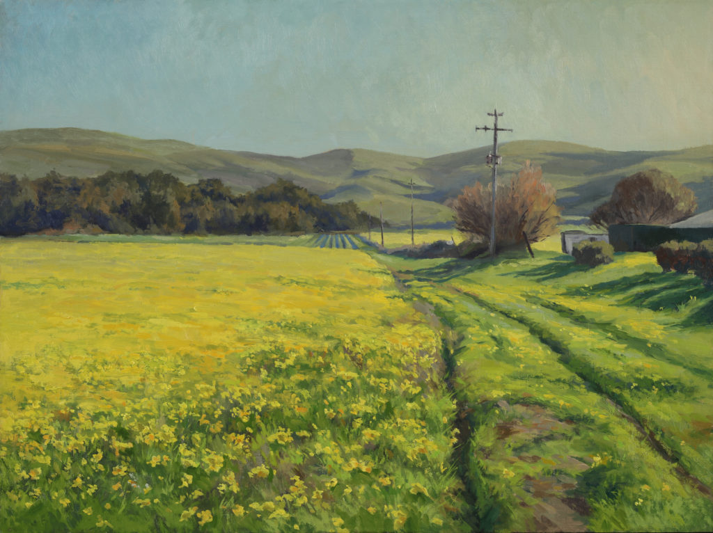 <strong>Mustard Fields - 18x24"</strong><br>
Oil on Panel - Available - $1,580